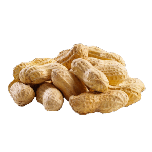 Groundnuts Peanuts
