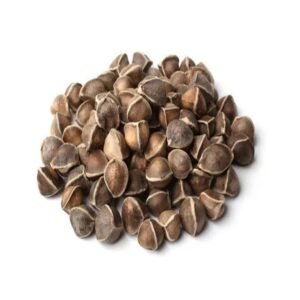 Moringa Seeds
