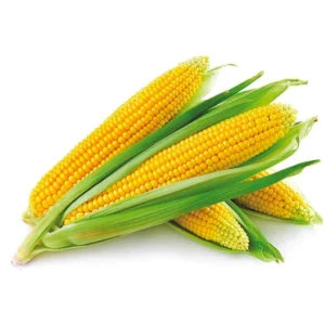 Yellow Corn - Maize