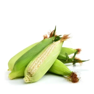 White Corn - Maize